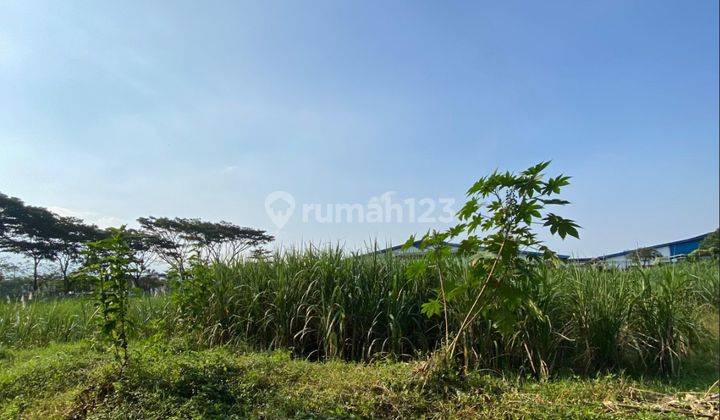 Tanah Murah Super Strategis Dekat Tol Lawang Singosari Malang  1