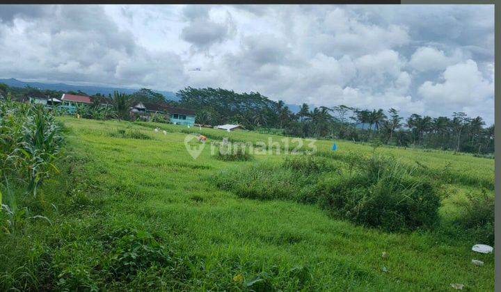 TANAH KEBUN SUBUR HARGA ISTIMEWA DI KEPANJEN KABUPATEN MALANG. 1