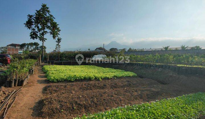 TANAH SAWAH SUBUR HARGA ISTIMEWA DI BUMIAJI KOTA BATU. 2