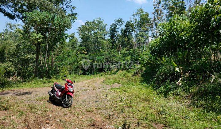 Tanah Kebun Subur Luas Harga Istimewa di Torongrejo Kota Batu. 1