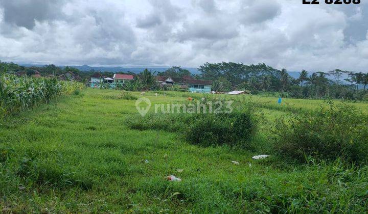 Tanah Luas Murah Super Strategis di Kepanjen Malang  1