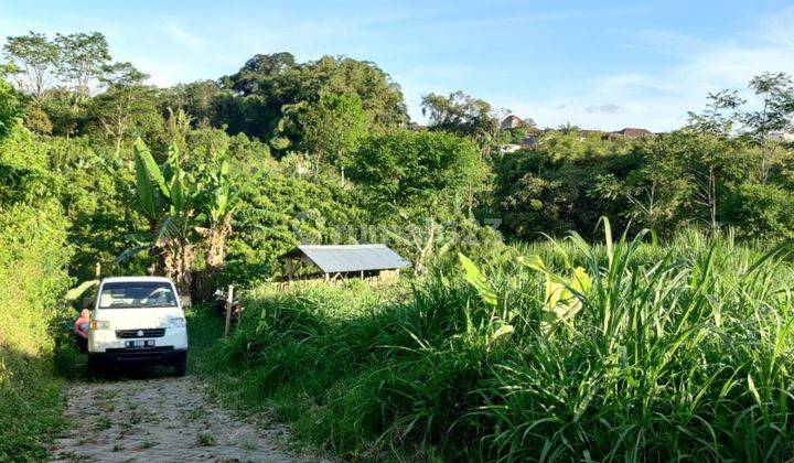 Edisi Bu Tanah Luas Murah View Pegunungan di Giripurno Kota Batu  1