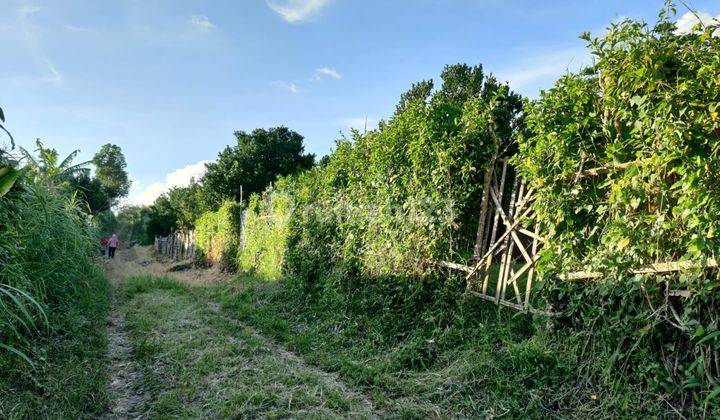 Edisi Bu Tanah Luas Murah View Pegunungan di Giripurno Kota Batu  2