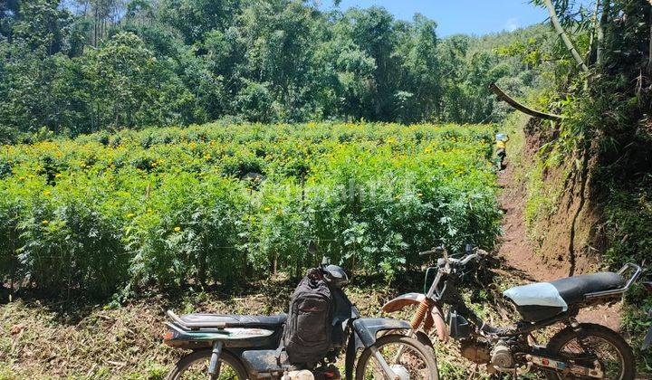 Tanah Strategis Murah Siap Bangun di Kawasan Strategis Kota Batu  2