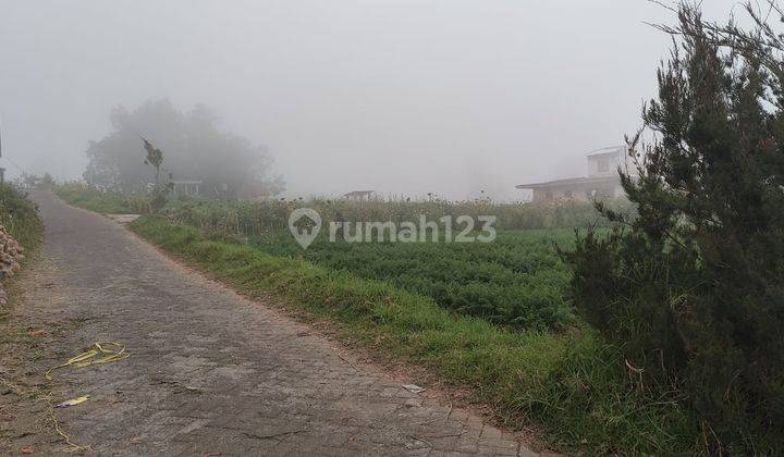 Tanah Sawah Subur Setrategis Harga Bagus Di Bumiaji Kota Batu. 2