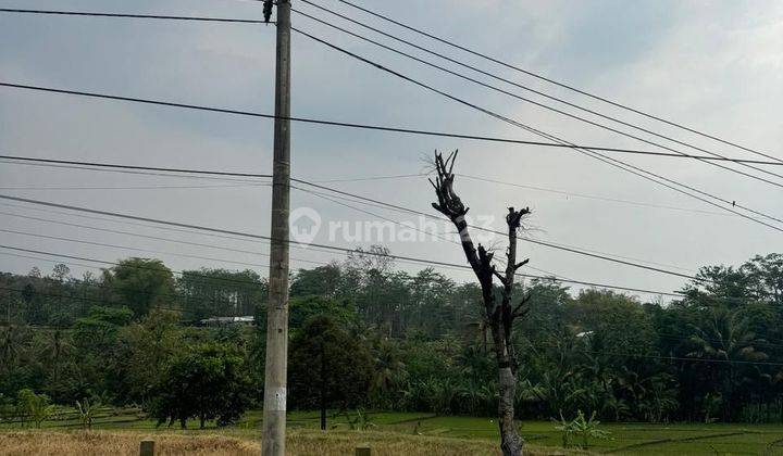 TANAH SAWAH SUBUR HARGA BAGUS DI KASEMBON KABUPATEN MALANG. 2