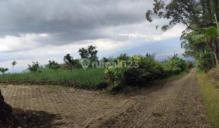 Tanah Sawah Subur Harga Baik Di Bumiaji Kota Batu. 2