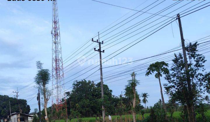 TANAH SUBUR PINGGIR JALAN HARGA ISTIMEWA DI KOTA BONDOWOSO. 1