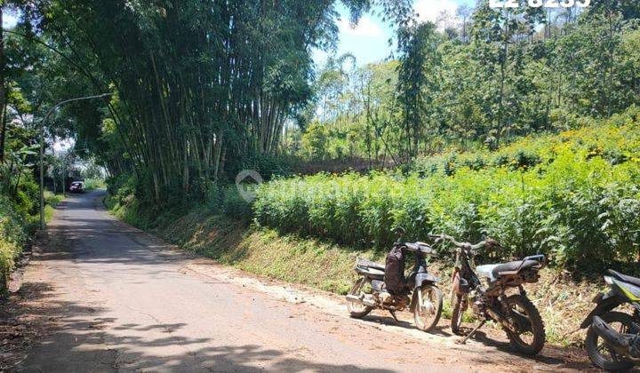 TANAH KEBUN SUBUR SETRATEGIS HARGA BAGUS DI SUMBEREJO KOTA BATU. 1