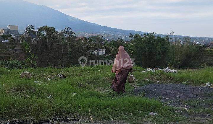 TANAH SAWAH SUBUR HARGA ISTIMEWA DI SISIR KOTA BATU. 1