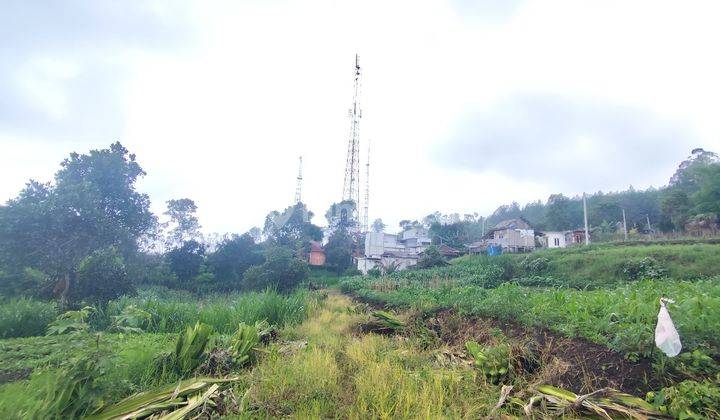 Tanah Kavling Setrategis Harga Istimewa Di Jalibar Kota Batu. 2