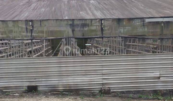 GREEN HOUSE SIAP DIGUNAKAN HARGA ISTIMEWA DI PUJON MALANG. 1