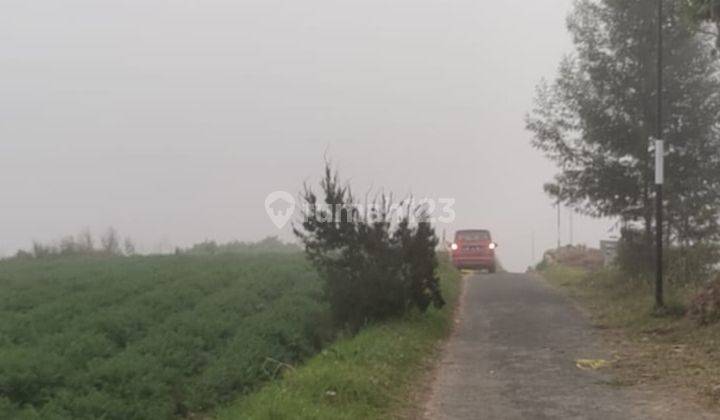 Tanah Sawah Subur Setrategis Harga Bagus Di Bumiaji Kota Batu. 1