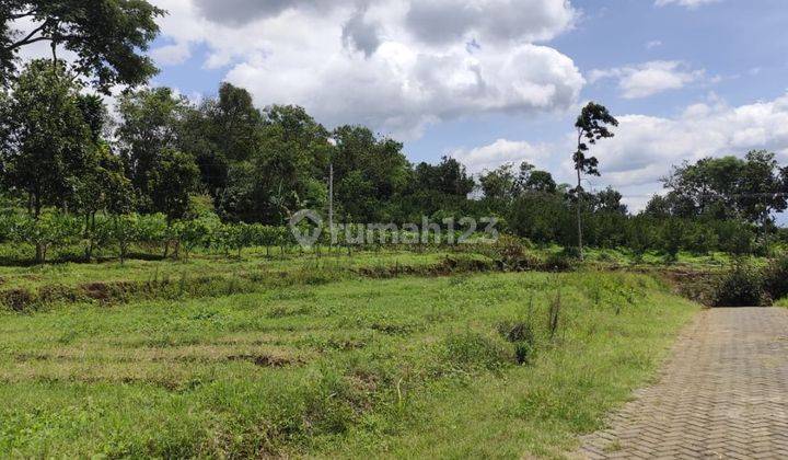 Tanah Kebun Subur Harga Baik Di Giripurno Kota Batu. 1