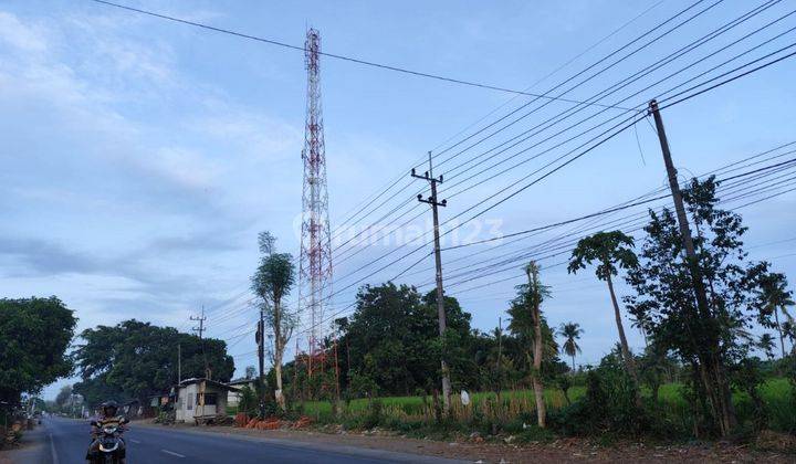 TANAH SUBUR PINGGIR JALAN HARGA ISTIMEWA DI KOTA BONDOWOSO. 2