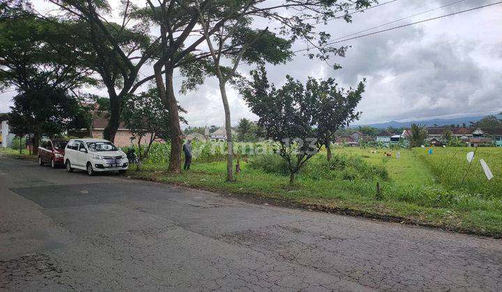 Tanah Sawah Subur Setrategis Harga Istimewa Di Kepanjen Malang. 2