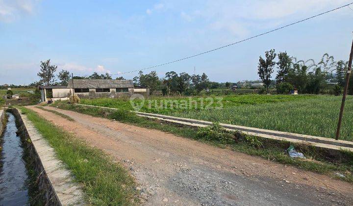 TANAH SAWAH SUBUR HARGA ISTIMEWA DI NGAGLIK KOTA BATU. 2