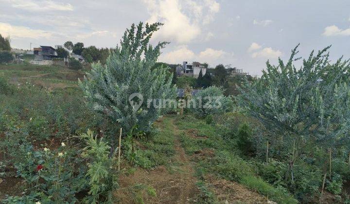 TANAH KEBUN SUBUR HARGA BAGUS DI BUMIAJI KOTA BATU. 2