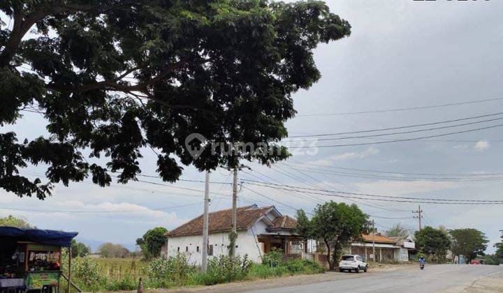 TANAH PINGGIR JALAN RAYA HARGA BAGUS DI PAITON PROBOLINGGO. 1