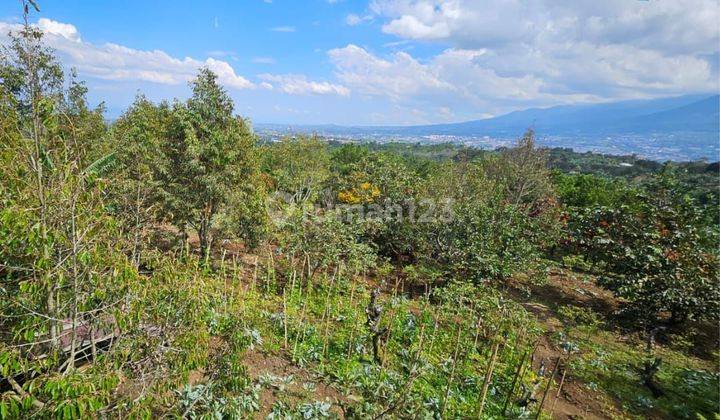 TANAH KEBUN ADA BANGUNAN HARGA BORONGAN DI BULUKERTO KOTA BATU. 1