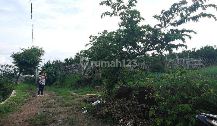 Tanah Sawah Subur Harga Bagus Di Junrejo Kota Batu. 2