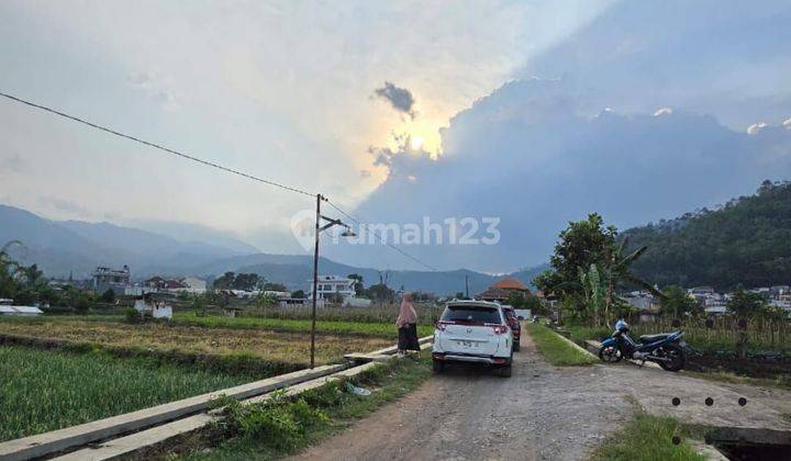 TANAH SAWAH SUBUR HARGA ISTIMEWA DI NGAGLIK KOTA BATU. 1