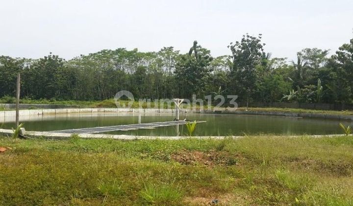 Tanah kavling tambak Anyer Carita Tangerang Banten  1
