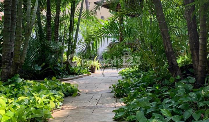 Rumah Asri Dgn S.pool di Bintaro