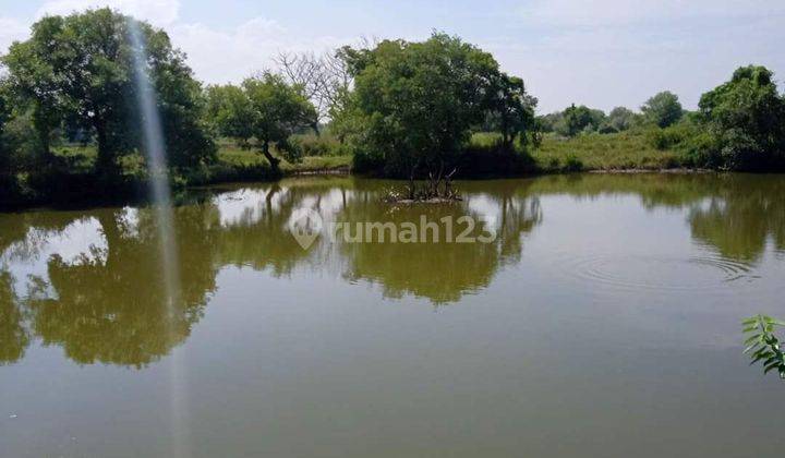 Tanah di Tambak Oso, Waru, Sidoarjo, Jawa Timur 1