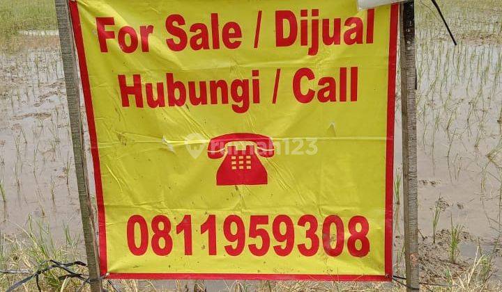 Dijual Tanah Sukatani Cikarang 