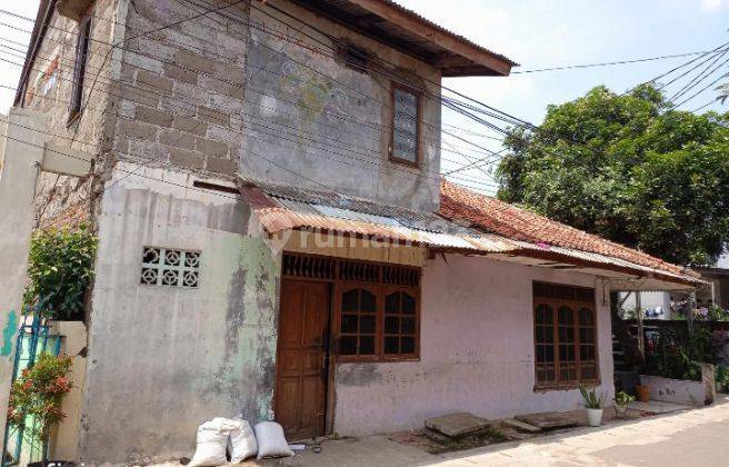 Rumah Tua Hitung Tanah Bebas Banjir di Cipedak Jagakarsa  2