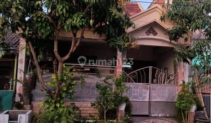 Dijual Rumah 2 Lantai Di Pondok Benowo Indah Surabaya Lk 1