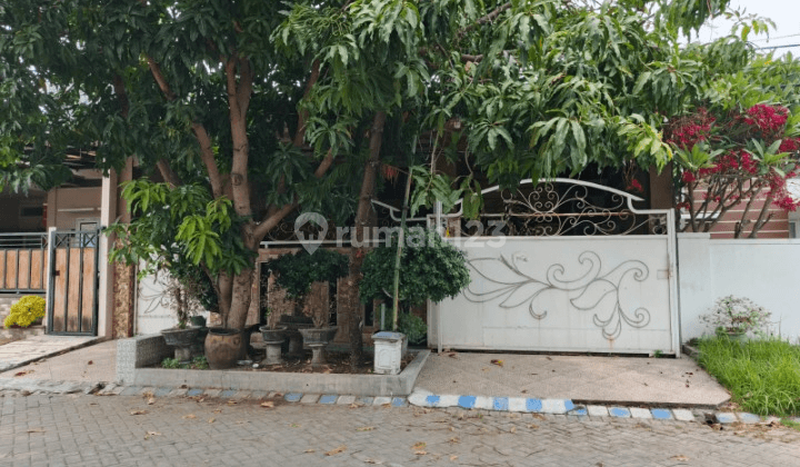 Dijual Rumah Murah Siap Huni Lokasi Di Western Village Benowo Kt 1