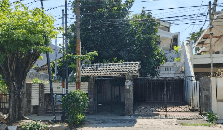 Disewakan Rumah Cocok Untuk Usaha Lokasi Di Jl Argopuro Surabaya KT 1