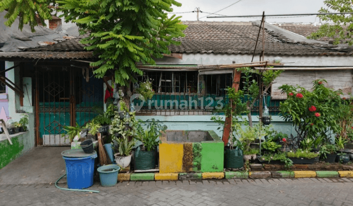 Dijual Rumah Murah Lokasi Di Wisma Lidah Kulon Surabaya Kt 1