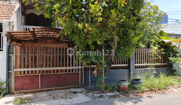 Dijual Rumah SHM 2 Lantai Di Pakis Tirtosari Surabaya Kt 1