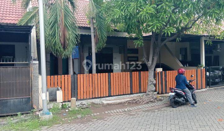 Disewakan Rumah Murah Lokasi Di Palm Spring Jambangan Surabaya KT 1