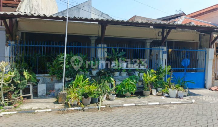 Dijual Cepat Rumah Siap Huni Lokasi Di Dukuh Kupang Surabaya KT 1
