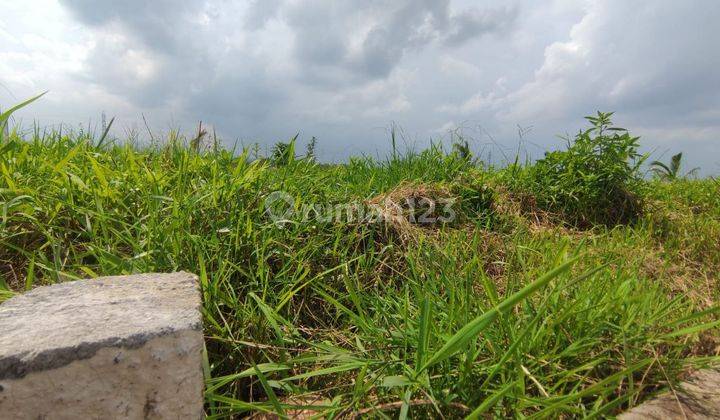 Tanah di Dekat Gerbang Kampus Unmuh 3 Malang 2