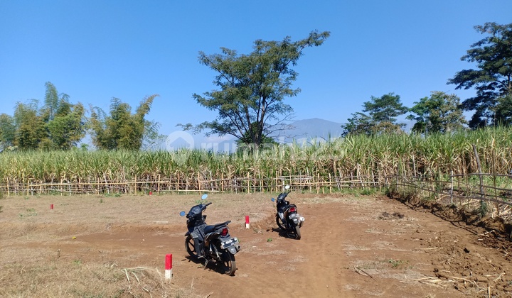 Tanah Pribadi SHM Lokasi di Karangploso Malang 6
