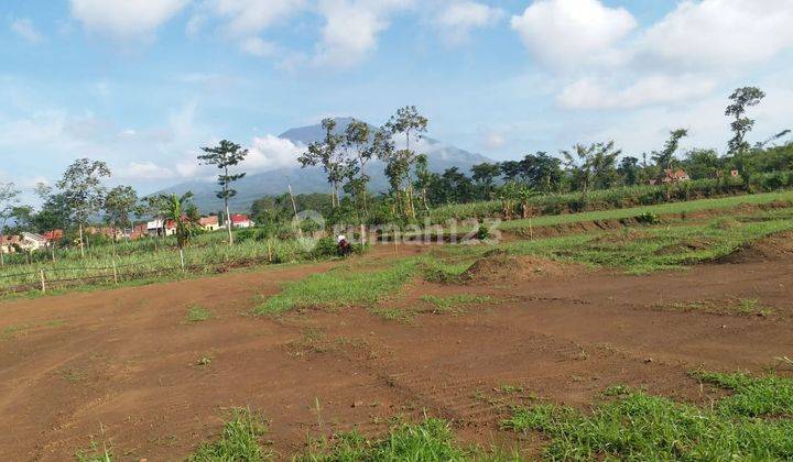 Tanah SHM Murah di Malang Raya Jawa timur  6