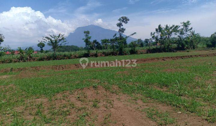 Tanah SHM Murah di Malang Raya Jawa timur  5