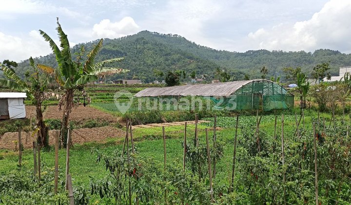 Tanah SHM dijual Murah di Metro Kota Batu  3