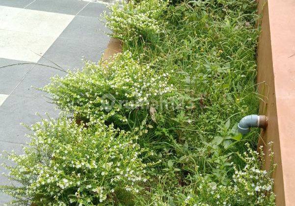Rumah Dijual Batu Malang Dekat Wisata Bns Surat SHM 2