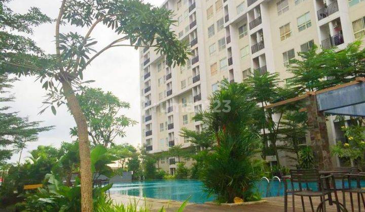 Apartemen Scientia Kawasan Gading Serpong Tangerang 1