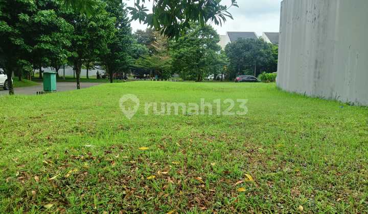 For Sale Hook Lot The Eminent Vivacia BSD For Sale Hook Lot The Eminent Vivacia BSD