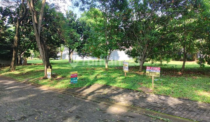 Cheap Sale Foresta Ultimo Bsd Plot Cheap Sale Foresta Ultimo Bsd Plot