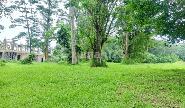 Jarang Ada Kavling Bukit Golf Jual Cepat Bsd (Sg ) Jarang Ada Kavling Bukit Golf Jual Cepat Bsd (Sg )
