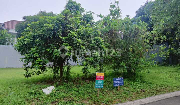 Rare Plot Available in Alam Sutera Housing, Tangerang Rare Plot Available in Alam Sutera Housing, Tangerang