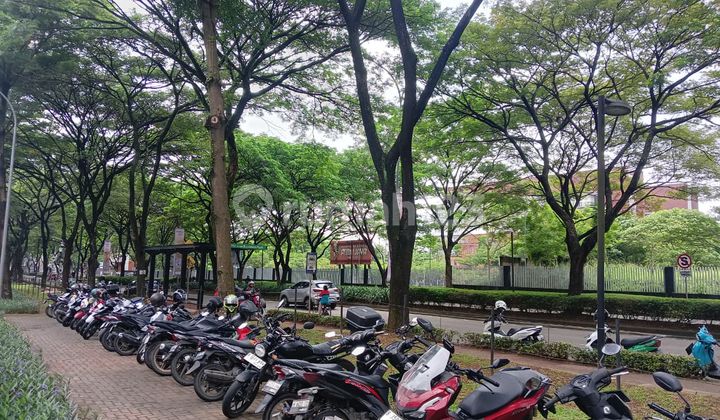 Cheap for Sale: The Icon Shop House by Cisauk Main Road 2
